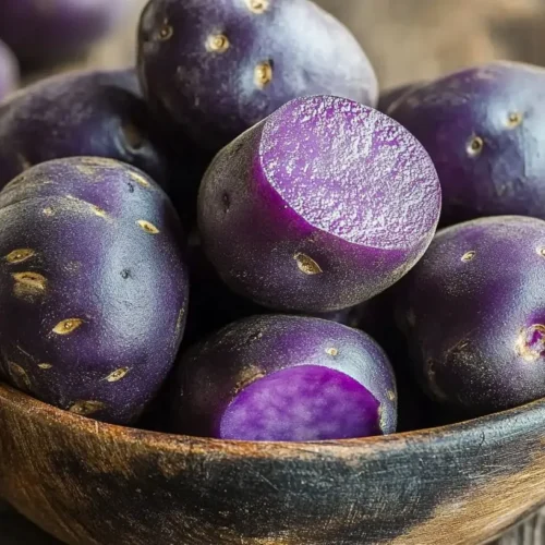 Freshly harvested purple potatoes in a rustic bowl.