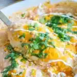 Creamy salsa chicken dish served with rice and garnished with cilantro